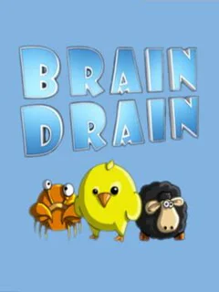 Brain Drain