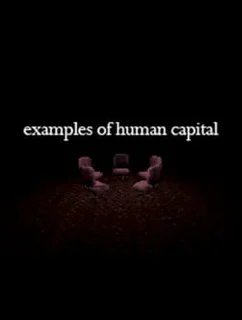 Examples of Human Capital