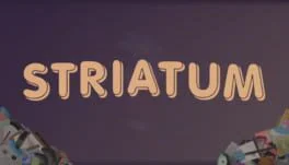 Striatum