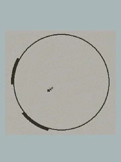 Pogo Arc