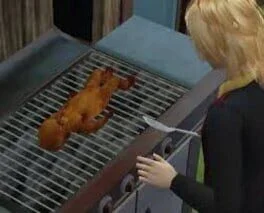 OMGWTFBBQ