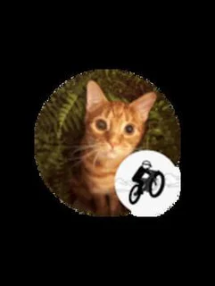 Free Rider Lite