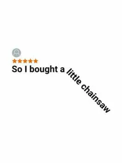 So I bought a little chainsaw