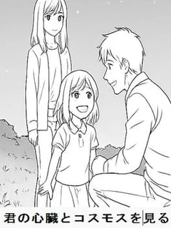 Kimi no Shinzou to Cosmos wo Miru