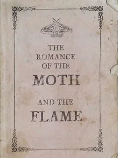 The Romance of the Moth and the Flame
