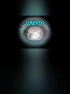 What Would You Do?