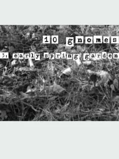 10 Gnomes 3: Spring Garden March