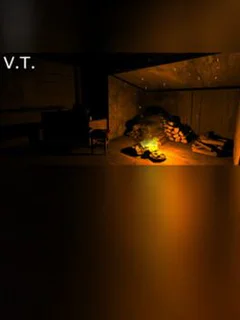 V.T.
