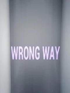 Wrong Way