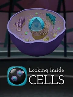 Looking Inside Cells
