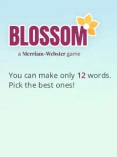 Blossom