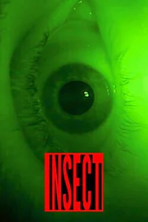 Insect