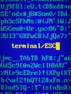 Terminal ESC