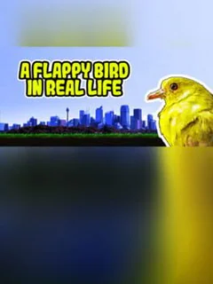 A Flappy Bird in Real Life