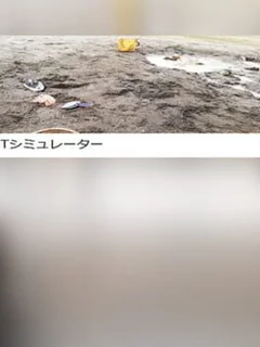 T Simulator