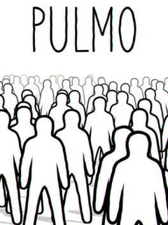 Pulmo
