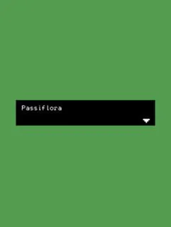 Passiflora