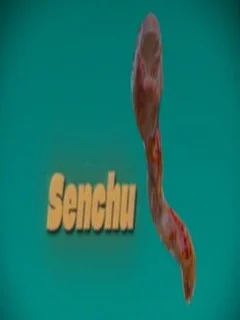 Senchu