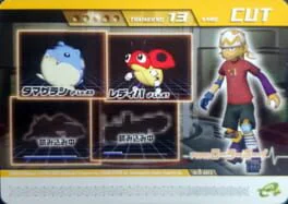 Pokémon Colosseum Double Battle Card e+: 13-A013 - Roller Boy no Cut