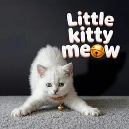 Little Kitty Meow
