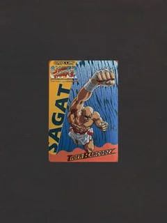Super Street Fighter II: The New Challengers - Tiger Barcodzz: Sagat