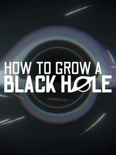 How to Grow a Black Hole