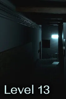 Level 13