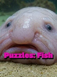 Puzzles: Fish