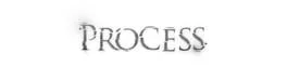 Process