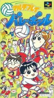 Multi Play Volleyball