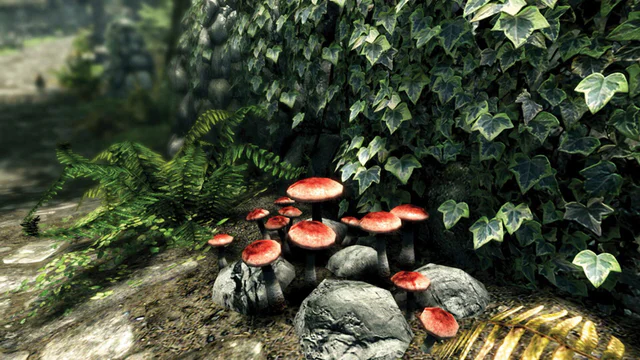 The Elder Scrolls V: Skyrim - Special Edition - Screenshot 3