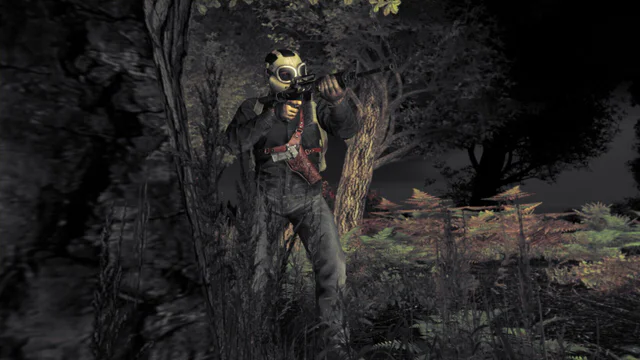 DayZ - Screenshot 2