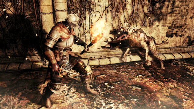 Dark Souls II - Screenshot 4