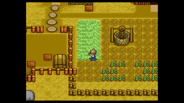 Harvest Moon - Screenshot 2