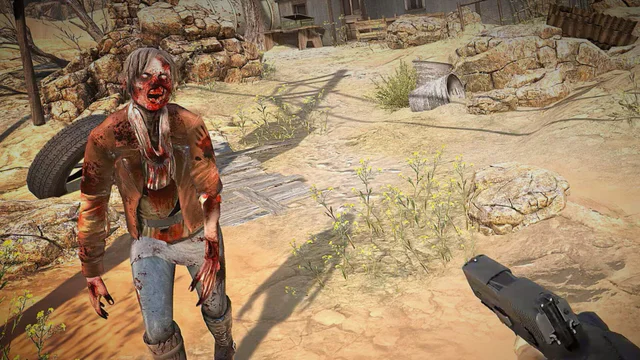 Arizona Sunshine - Screenshot 1