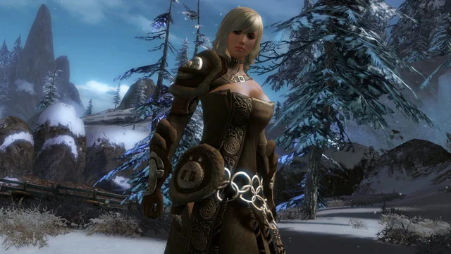 Guild Wars 2 - Screenshot 2