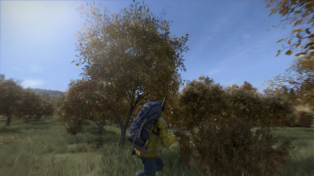 DayZ - Screenshot 1