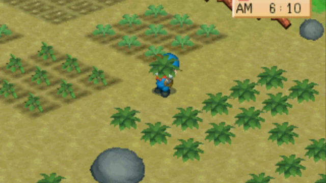 Harvest Moon: Back to Nature - Screenshot 1