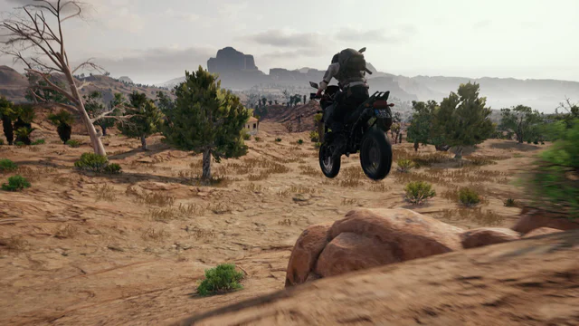 PUBG: Battlegrounds - Screenshot 1