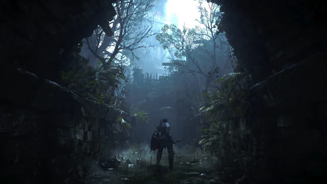 Demon's Souls - Screenshot 1