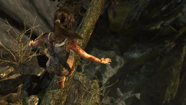 Tomb Raider: Definitive Edition - Screenshot 3